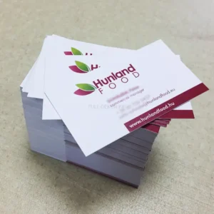 Névjegykártya | 90X50mm - Image 9